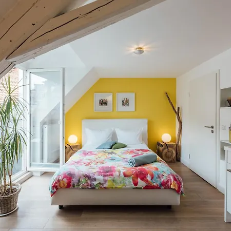 Feriendomizil Zum Grauen Wolf Apartment *